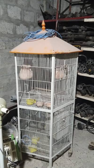 bus 1month hi use kiya hy excellent condition hy