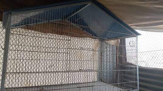 Heavy Duty 4-portion Bird Cage for Sale