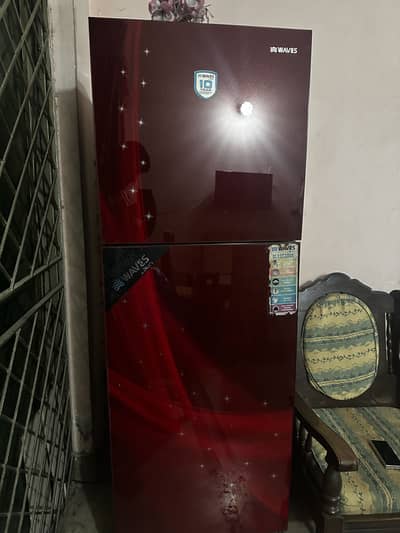 Waves refrigerator Glass Door