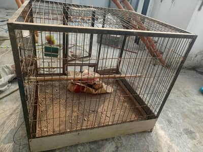 hen cage for sale