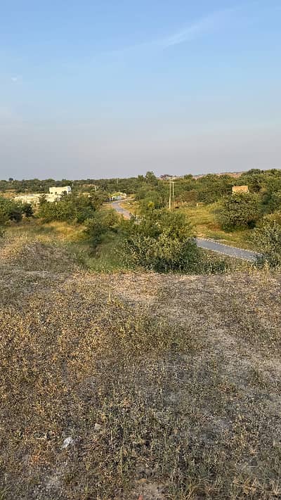 95 Kanal Land For Sale In Chakwal