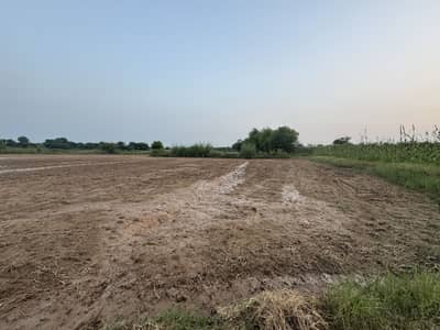 14 Kanal Land Chakwal Neela Dullah