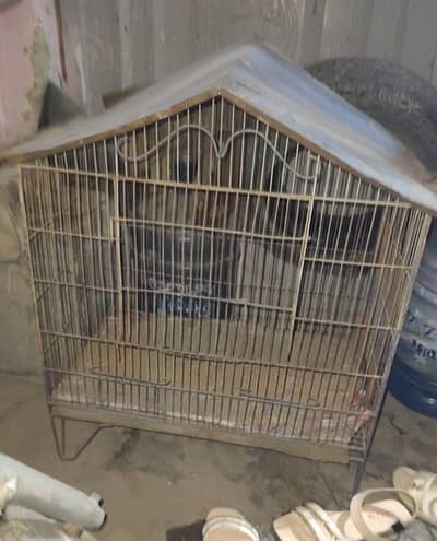 Cage for sell