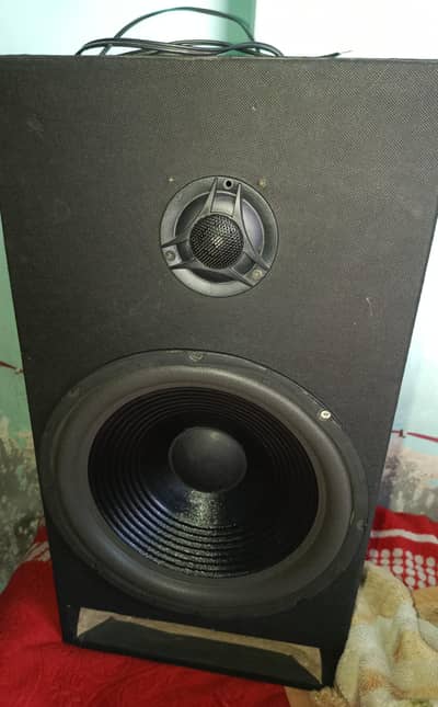 12 inch speaker woofer