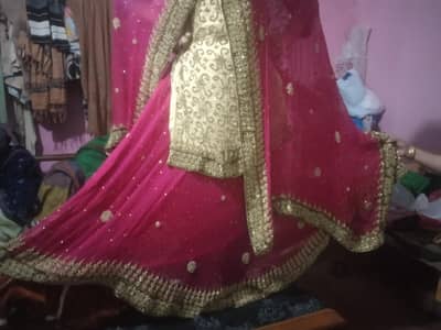 brindle lehnga kurti roes R shi pink or skin cantrass