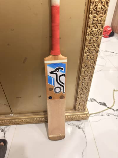 Coconut wood tape ball bat