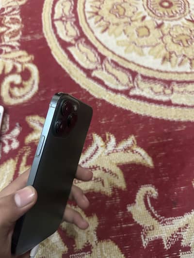 13 pro max non physical dual