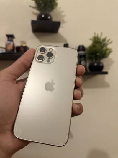 iPhone 12 Pro - Gold (128 GB) Non PTA