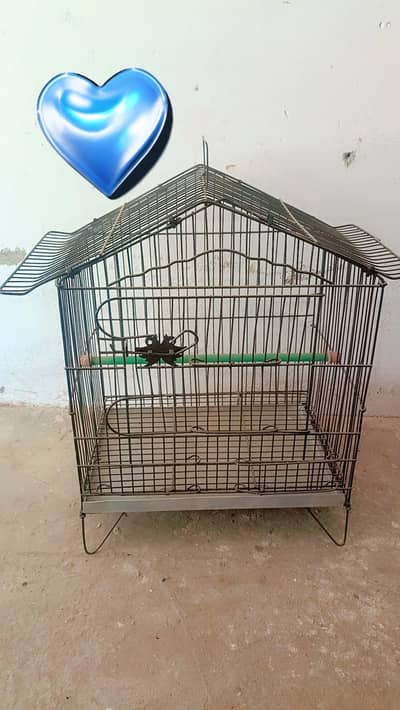 parrot cage for sale