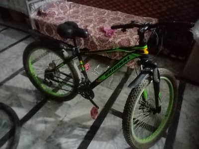 orignal fat tyre bike