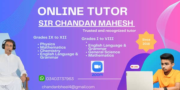 Online Tutor