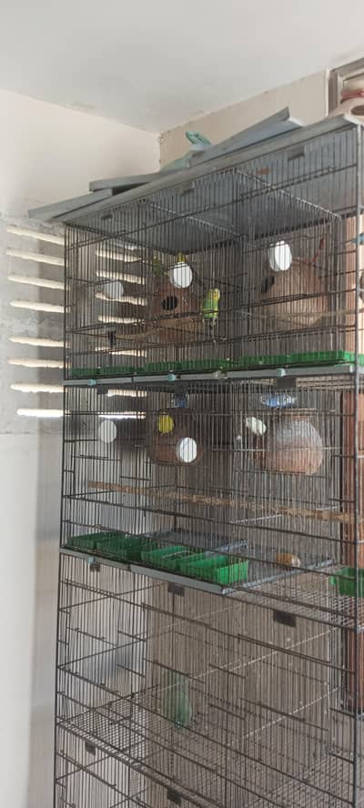 Cage for Sell
