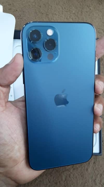 i phone 12 pro 10/10 urgent sale