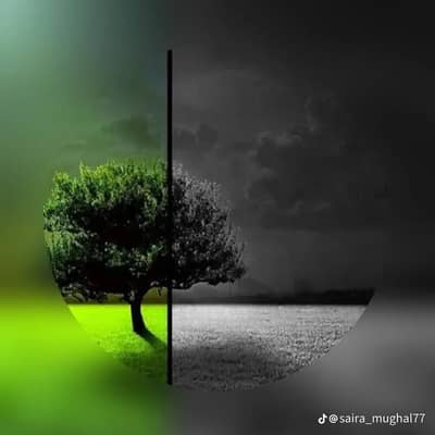 My name is zeeshan Haider. i need job. . . .