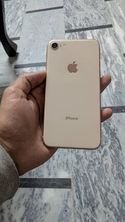 iphone 8 pta approved