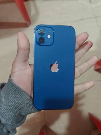 Iphone 12 (pta approved)
