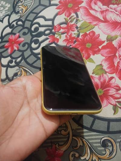 Iphone 11 GB 128 official dual pta approved