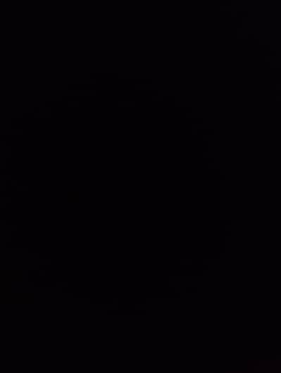 New model alto available for Day shift