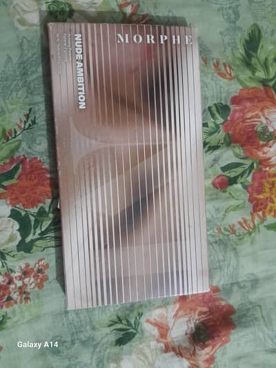 morphe  nude ambition palatte