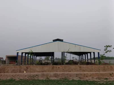 Dadex sheet marque shede goat farm dairy farm