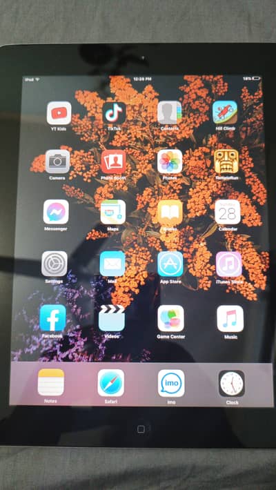 Apple iPad condition 10 by 9for sale
