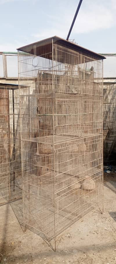 Birds Cages