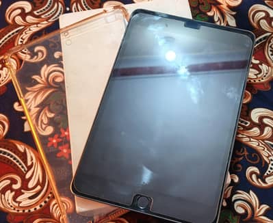 I Paid Mini 5 (5th Generation)