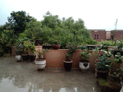 A Honest Maid required