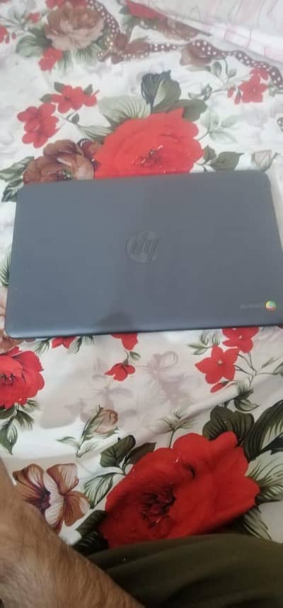 Laptop Google chrome