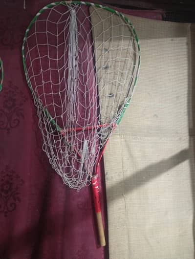 chiku kabutar pakdane wala 1000