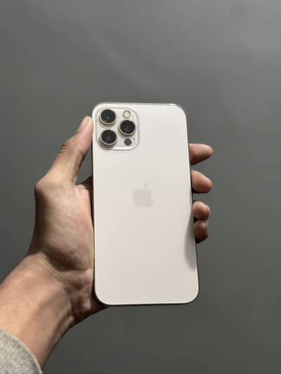 Iphone 12pro max dual pta approve