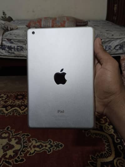 Apple iPad