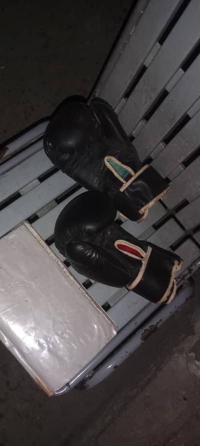 boxing gloves only 3500