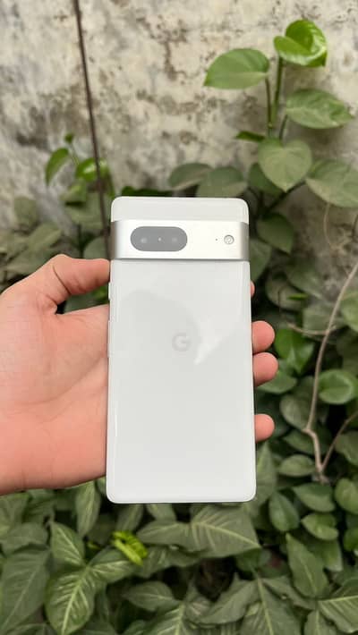 Google Pixel 7 | With Adopter | No Exchange
