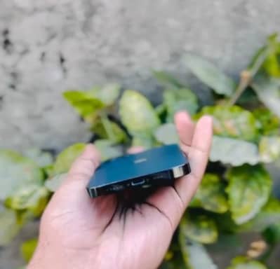 I phone 12 pro 256 gb water pach 91 health