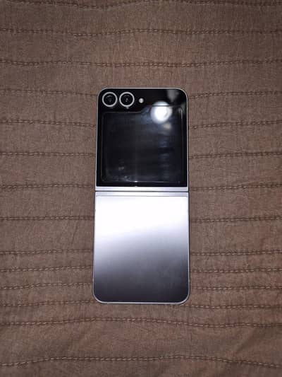 Z Flip 6 / Silver / 256 GB