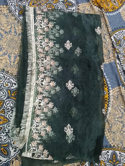 showcase or mehndi lehanga