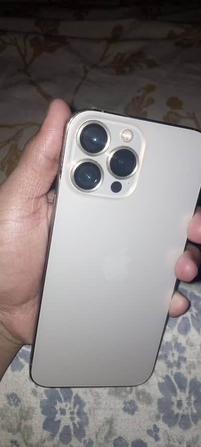 iPhone 13 Pro Max jv