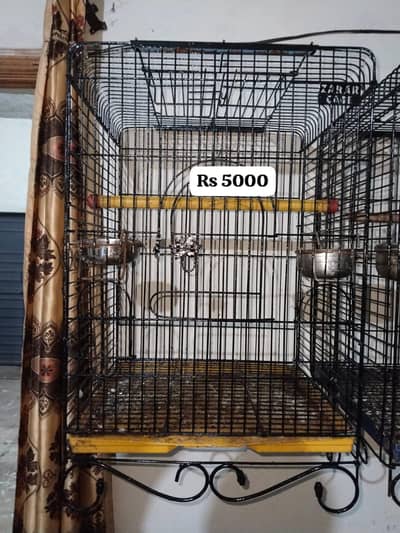 Speacil cage for tamed parrots  0321.7242445 call