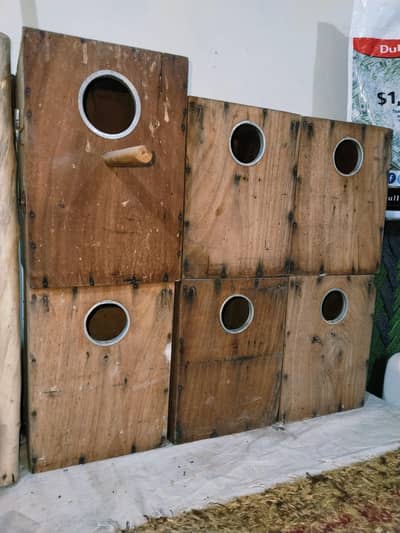 Box 550  and cage 1000 0321.7242445 call