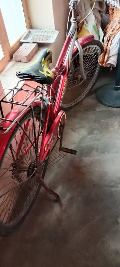 Bicycle For Sale