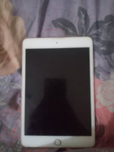 IPad mini 5 / 64gb  sth charger hn