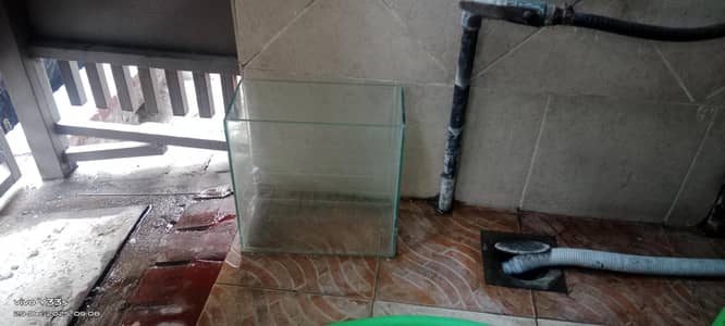 fish aquarium , water packed