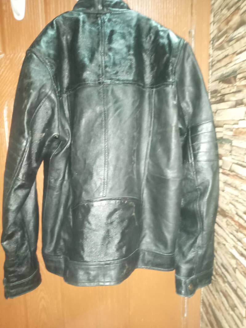leather jacket 1