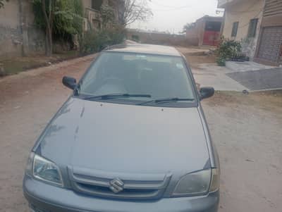 Suzuki cultus