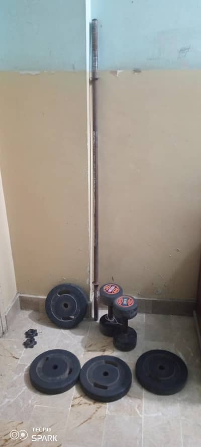 two 6 kg bumble or  char 5 kg plate or ek rod