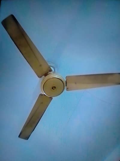 fan used