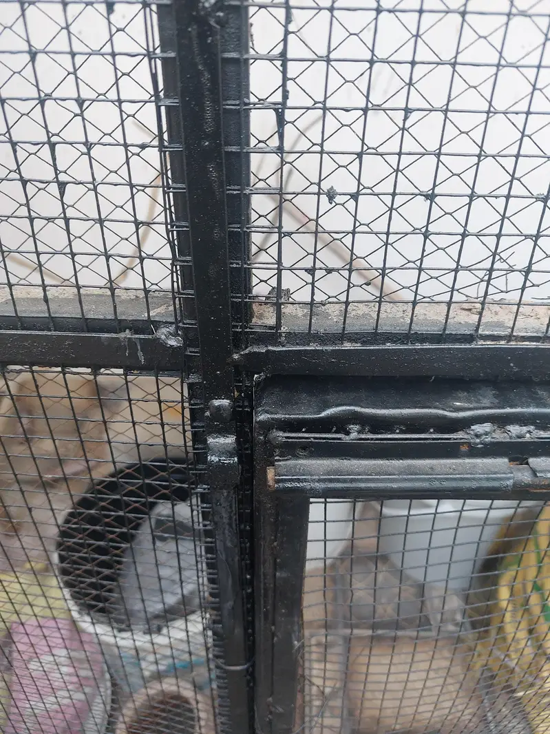 Cage Front (Frame)