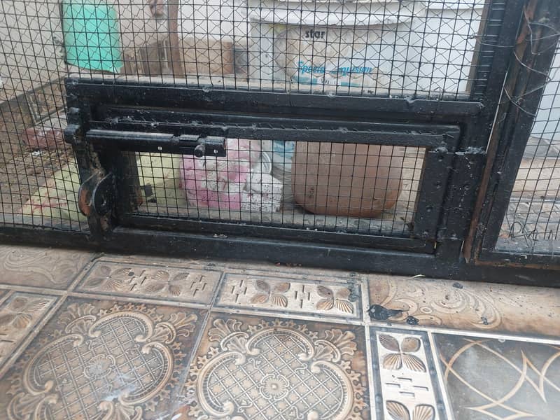 Cage Front (Frame) 1