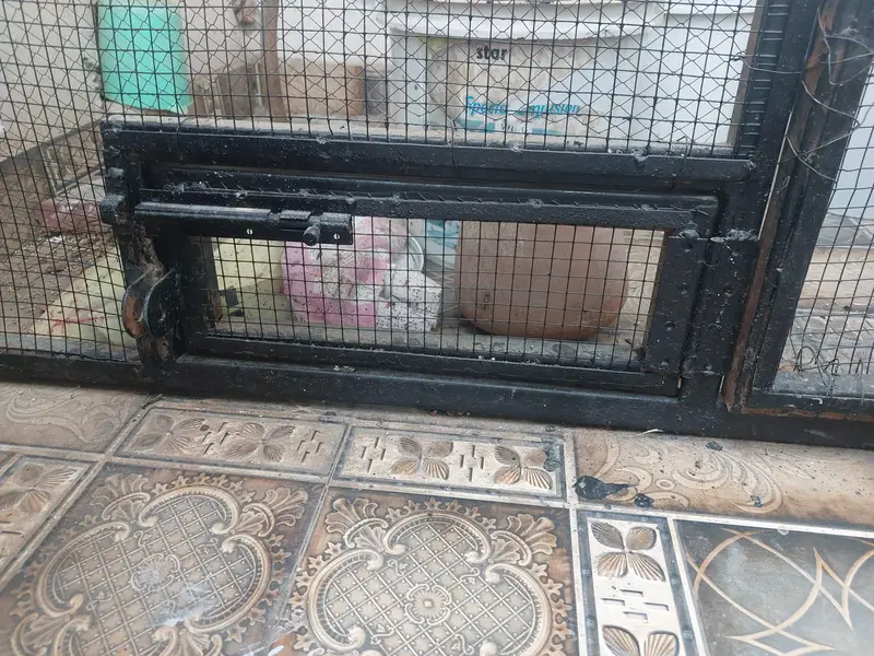Cage Front (Frame) — photo 2